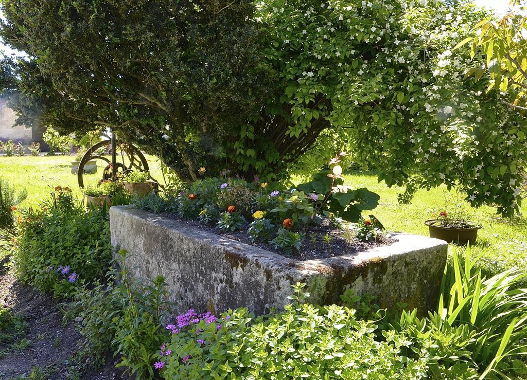 Le Vieux Noyer Bed and Breakfast Saint-Maurice-de-Tavernole Exteriör bild